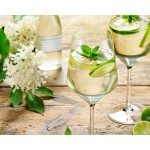 DE KUYPER ELDERFLOWER 0,70L/20%